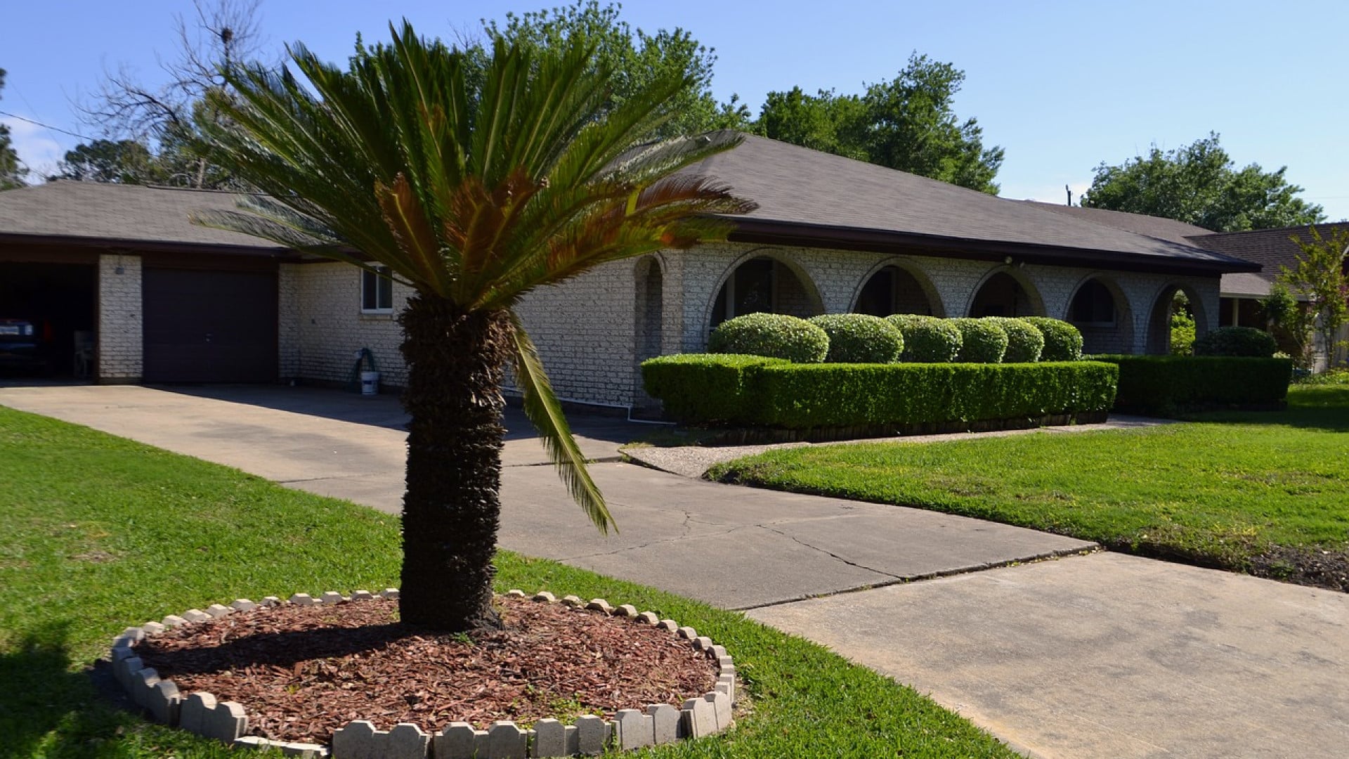 Quels sont les services proposés par un spécialiste de l’élagage et de l’entretien du jardin ?